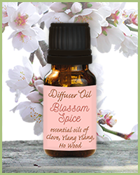 photo of diffuser oil