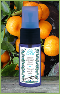 photo of an Hand Cleanser